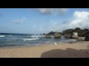 Click to play video.