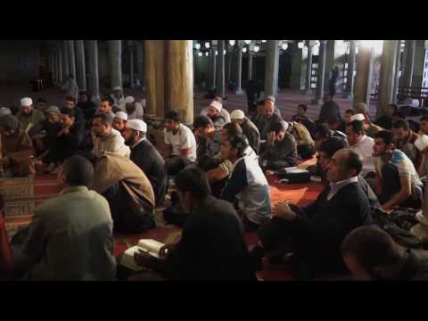 اطعام الطعام من الاسلام من صحيح البخارى للدكتور احمد طه الريان | قناة ازهر تى فى