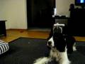 videos de Zoe is ready for bed.