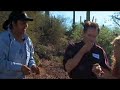 Saguaro Fruit Harvest