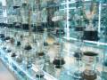 Real madrid museum at Santiago Bernabeu stadium