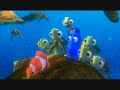Finding Nemo: Crush/Turtles on the EAC Scene Finding Nemo: Crush/Turtles on the EAC Scene