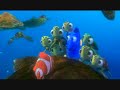 Finding Nemo: Crush/Turtles on the EAC Scene
