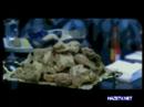 Snoop Dogg - Boss Life (Hazed-out Video)