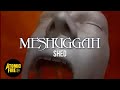 Meshuggah - Shed