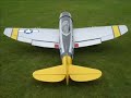 P-47N Ziroli R/C
