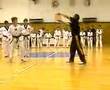 tae kwon do alexis ips 2