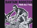 Bantam Rooster -