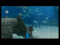Endless Ocean 2: Blue World Review Wii
