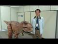 T-Rex Robot