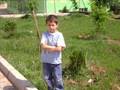 Sevgi �i�ekleri