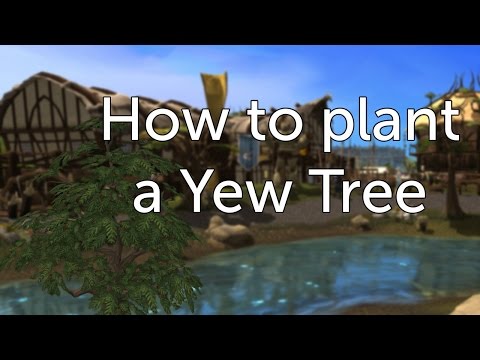 how to grow trees rs