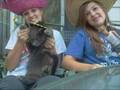 Taco Song!!