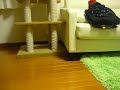 スーパー袋マンひじき