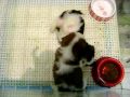 Zoo Planet 2 039