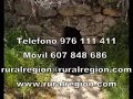 casa torrecilla del rebollar