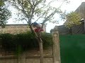 Caída Libre Desde El Árbol.mov