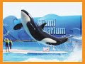 TAM - Promo��o 10 anos EUA