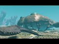 Ordovician Sea　〜オルドビス紀の海〜