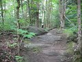 Mountain Biking