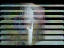 kingroyshirley website kingroyshirley website