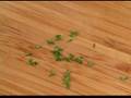 How to Chop & Mince... View Video