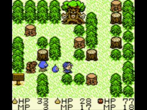 動画