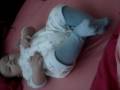 my baby is ahla baby واللي يقول غير كدة عبيط