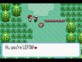 Pokemon-Different-Th