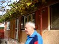 Tata-cu-piciorul-in-