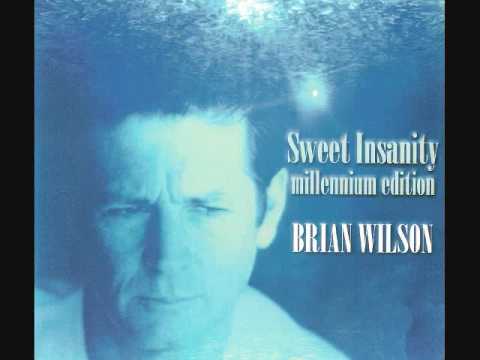 Brian Wilson - Concert tonight lyrics