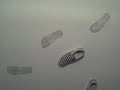 The Vans Room The Vans Room
