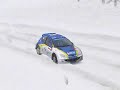 Richard Burns Rally - Car Skin - Peugeot 206 s1600 ver1.0
