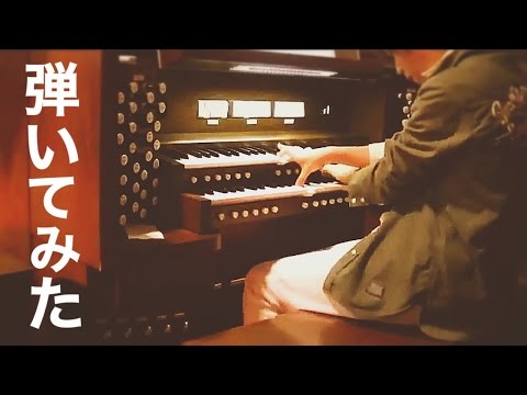 動画