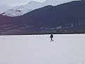 Madadh-Allaidh4