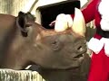 Santa Feeding Denver Zoo\ Santa Feeding Denver Zoo\