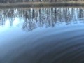 Fall Bass Fishing with Rob Lee Fall Bass Fishing with Rob Lee