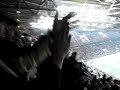 flght-call.html