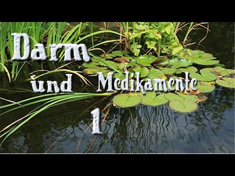 Darm und Medikamente Teil 1