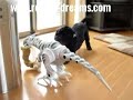 Roboraptor vs. Austin the Dog - The Remix Tape