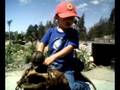 estrella en caballo reciclado