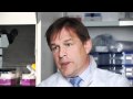 Halton Borough Council Videos