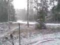 Första snön!
