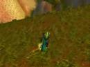 Exclusive Secrets - Elwyn Waterfalls