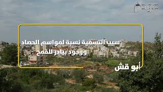قرية ابو قش قرية ابو قش