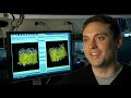 MSU researchers show how new viruses evolve, and in some cases, become deadly