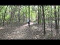 Silver River State Park Sink Hole - YouTube