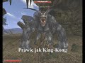 [R.o.a.D] Gothic II - Żywiec