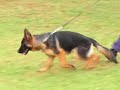 Ronda Entrenamiento 04 08