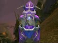 wow exploid secret troll village wow exploid secret troll village